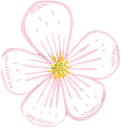 Cours art Clermont ferrand